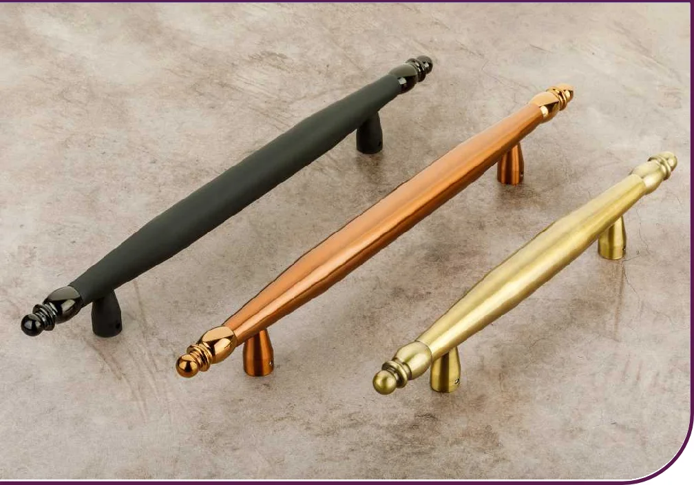 Deny Main Door Handle