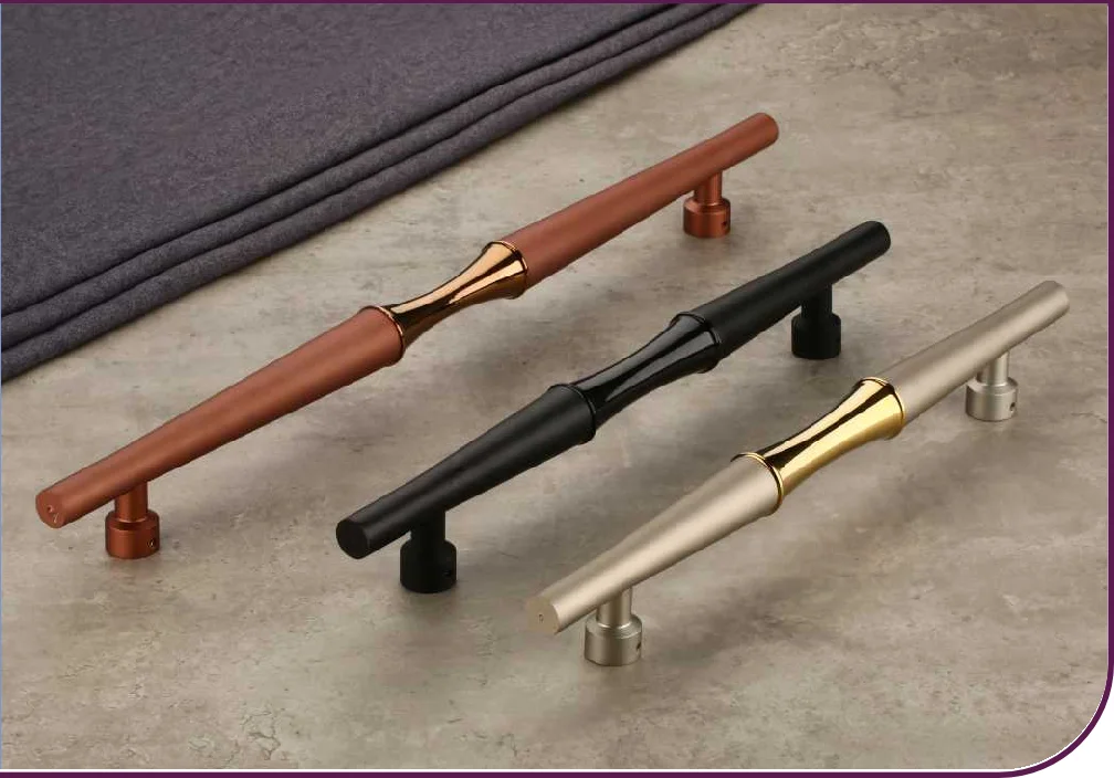 Florid Main Door Handle