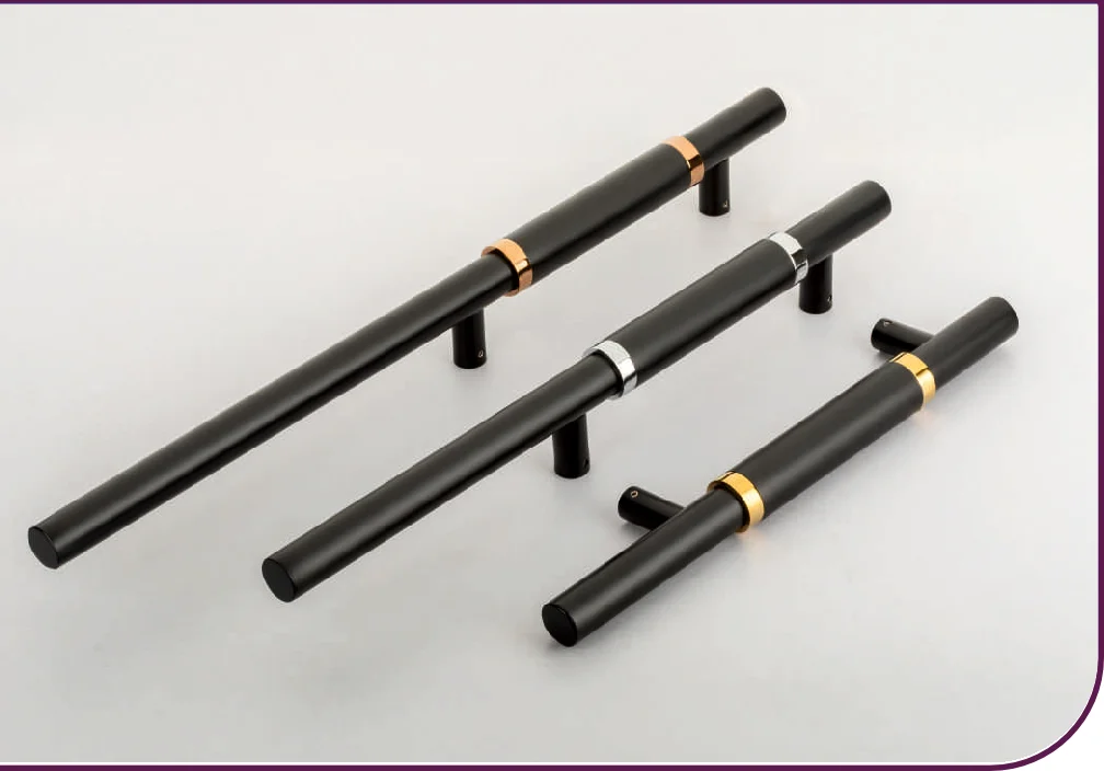 Icone 2 Main Door Handle