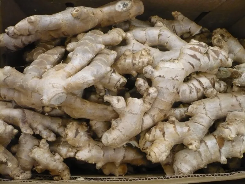 Dried Ginger (Sonth)